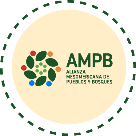 AMPB logo: Mesoamerican Alliance of Peoples and Forests