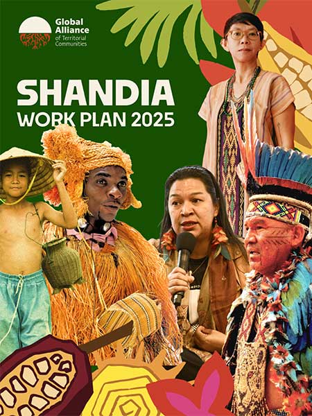 Shandia Work Plan 2025