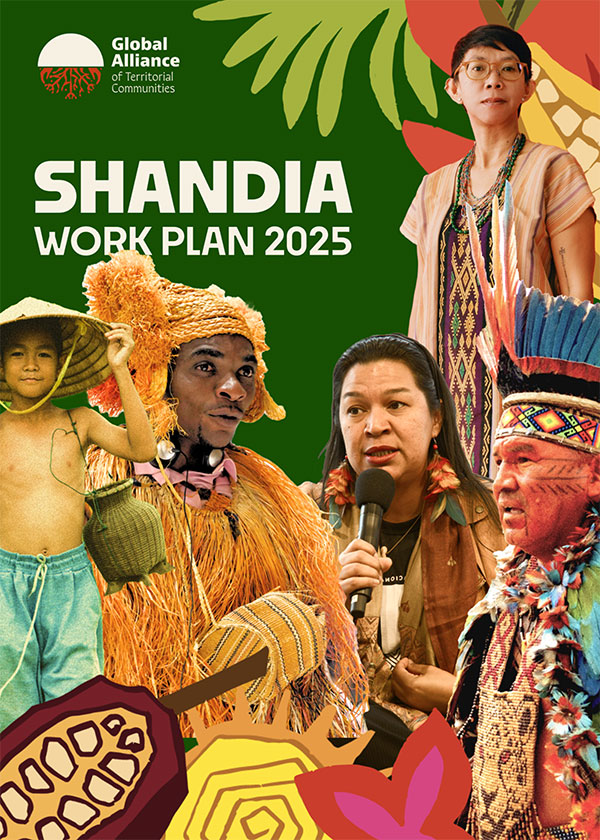 Plan de trabajo de Shandia 2025