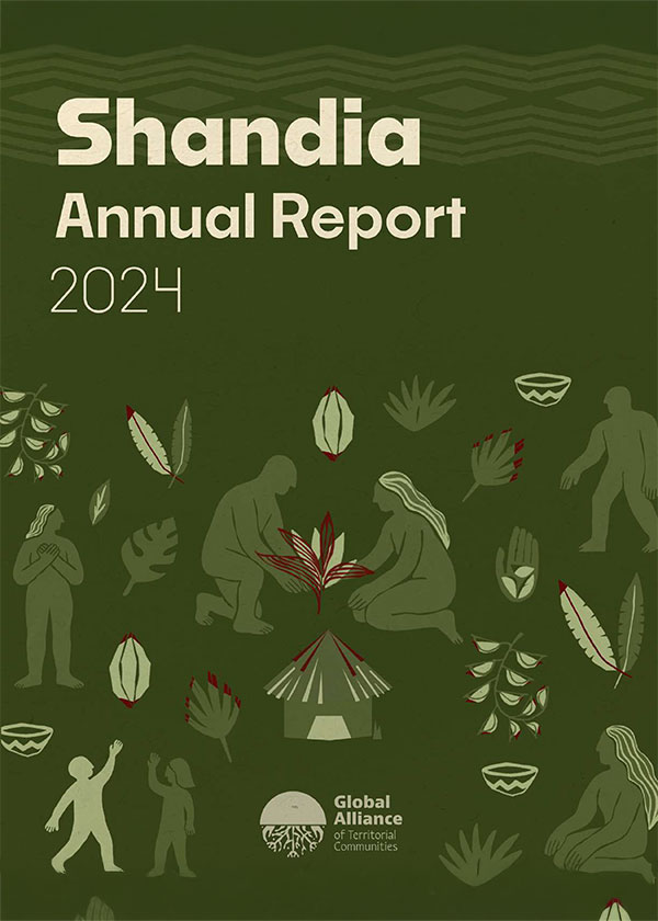 Informe anual de Shandia 2024