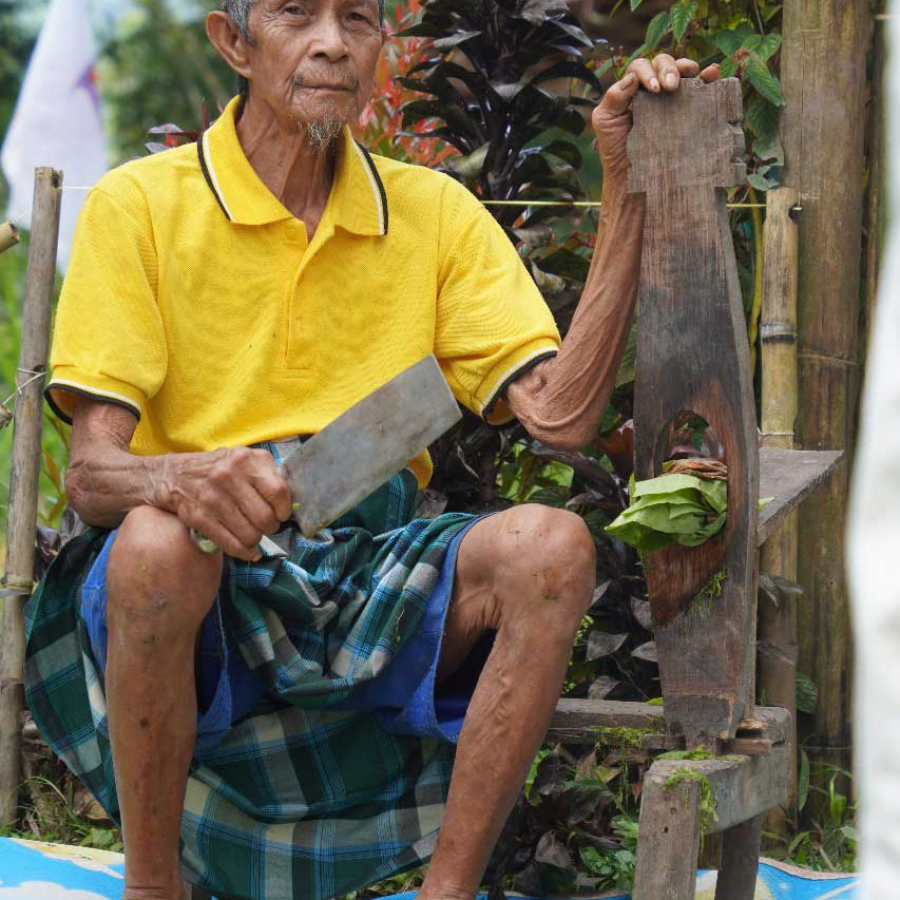 anciano indígena indonesio con camisa amarilla utiliza una herramienta para preparar hojas, sentado al aire libre con plantas a su alrededor